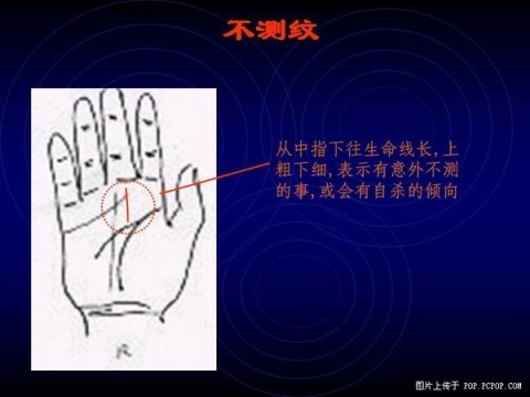 精品消费网