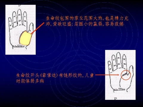 精品消费网