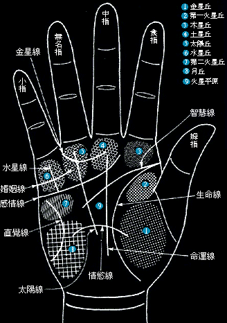 从手相窥视人生的秘密