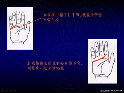 精品消费网