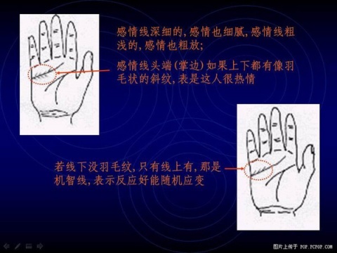 精品消费网