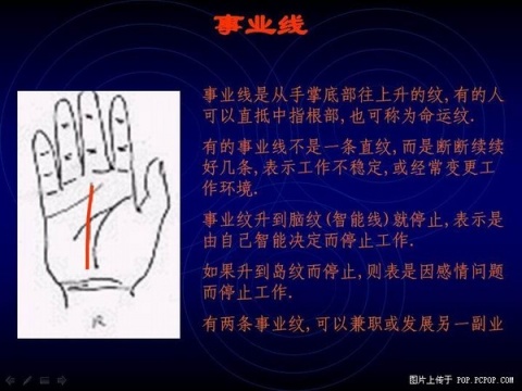 精品消费网