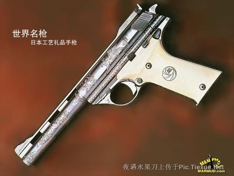 世界名手枪