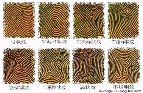 超准的食指指紋顯露你的愛情關測試