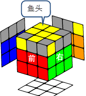 小鱼1