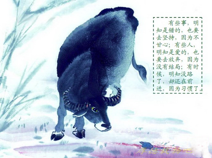 精品消费网