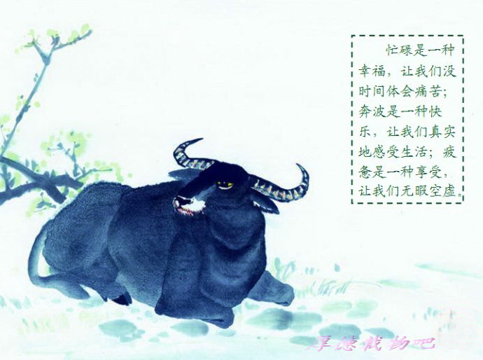 精品消费网