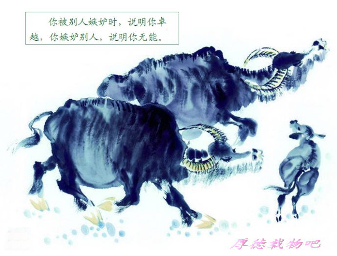 精品消费网