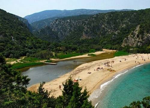 ��Ʒ������