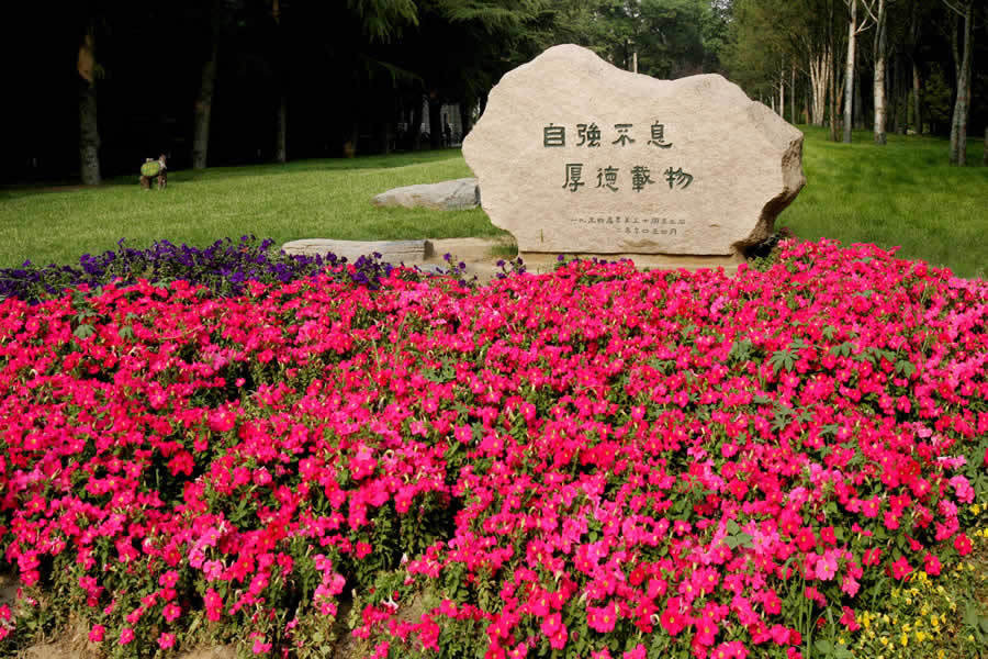 精品消费网