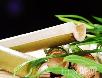 北京好吃的火锅店~~~~~慢慢吃吧!嘿嘿! - 筱馨 - 筱馨