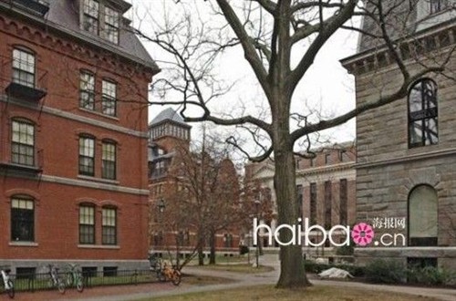 2011���˹����ӰƬ����� - ��Ȼ - ��Ȼ�Ĳ���