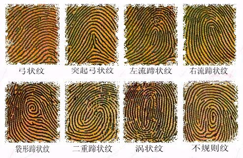 食指显露你的爱情观