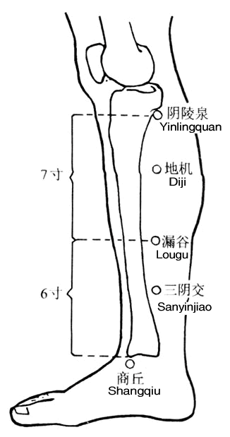 女性常揉一穴位，终身不变老&shy;