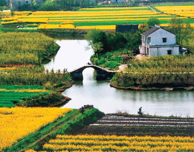 上海春季踏青路线大全