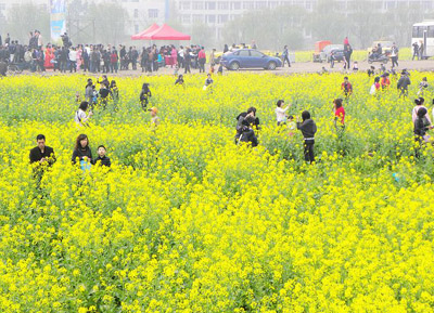 上海春季踏青路线大全