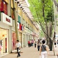上海旅游资料1 上海旅游资料1