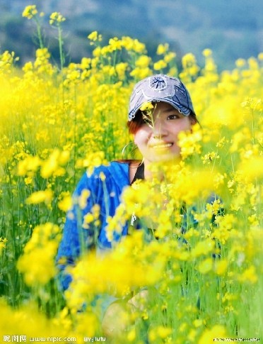 上海周边看油菜花攻略