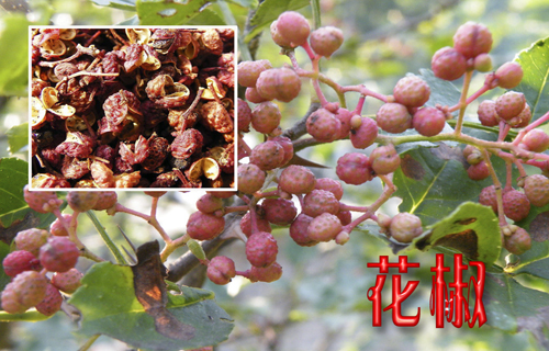 厨房里10种调料竟是长寿高手
