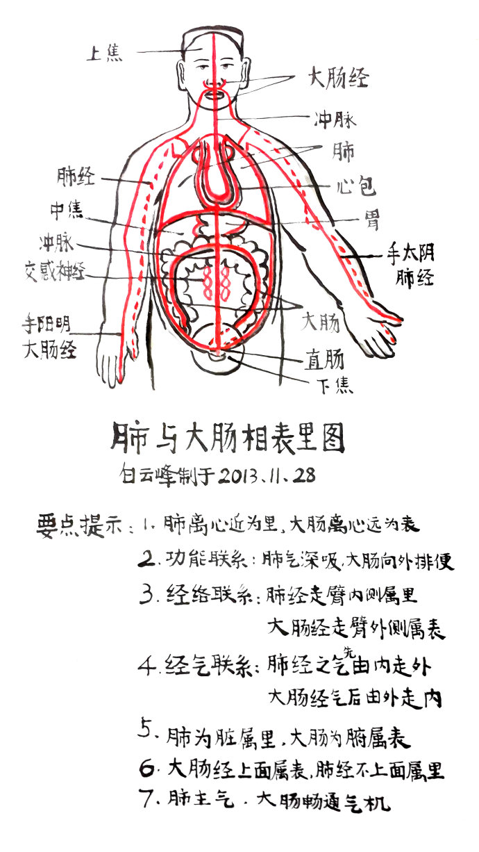 脏腑相表里图示