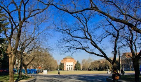 另类美国大学排名