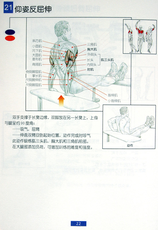 男士健身方案