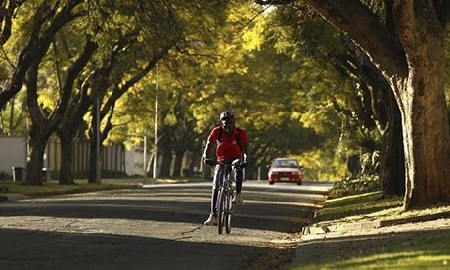 全球十大城市骑行路线