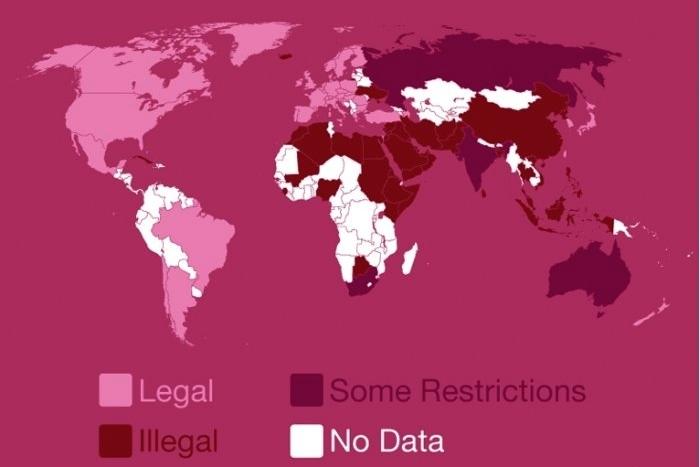 全球囧人的色情禁令