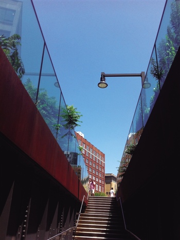 纽约高线公园（The High Line）。