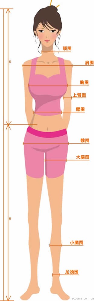 完美身材测量标准