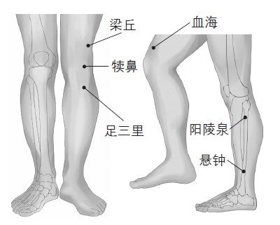 保护膝盖