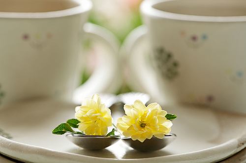 14种抗衰老食物