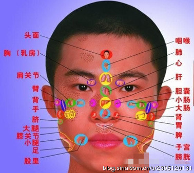 脸与内脏的关系