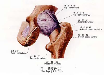 无知的5种自毁关节行为
