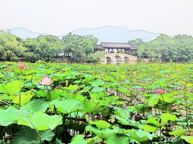被誉为西湖之姐妹湖的湘湖