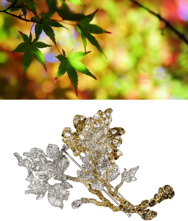 秋意盎然 秋叶唯美，珠宝更美