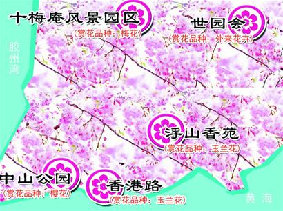 青岛赏花地图