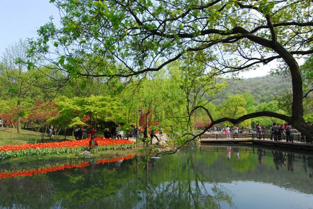 西湖美景