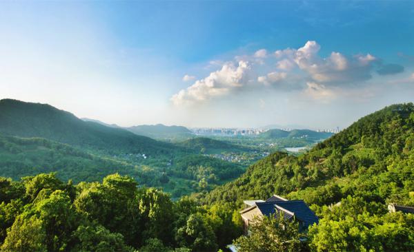 杭州6家最美山景餐厅