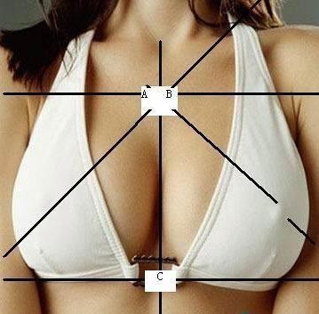网络神人教你如何计算乳沟尺寸