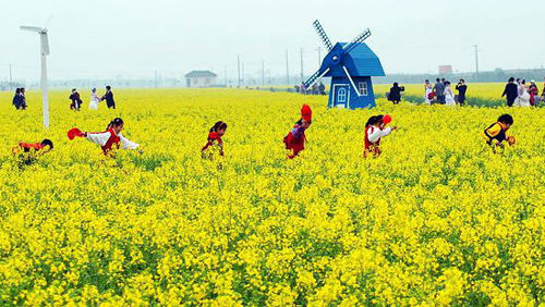 魔都5大春游圣地：奉贤庄行