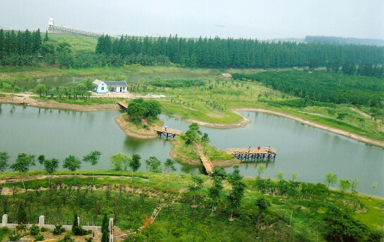 魔都5大春游圣地：崇明岛东南部