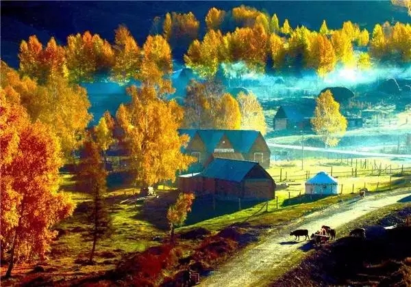全国各省最美的秋景