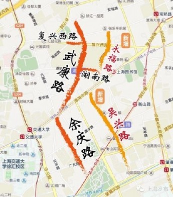 沪上落叶景观道