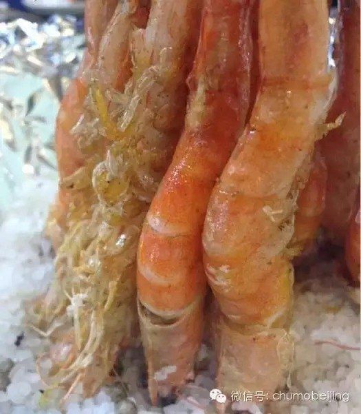 北京平价海鲜美味小馆