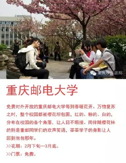 重庆主城樱花地图