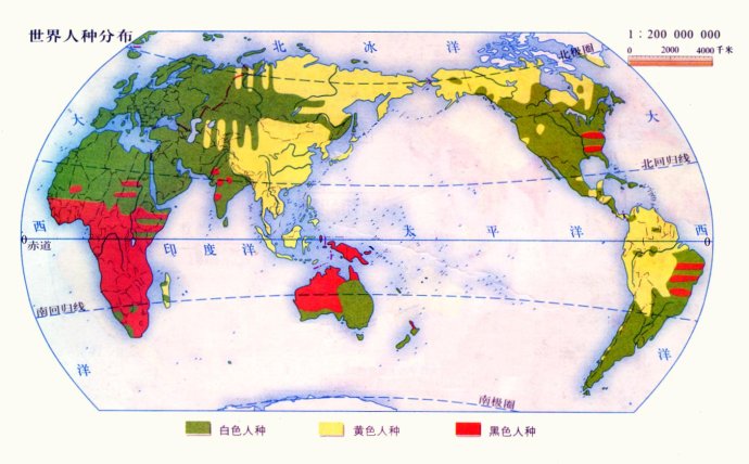 世界人种分布