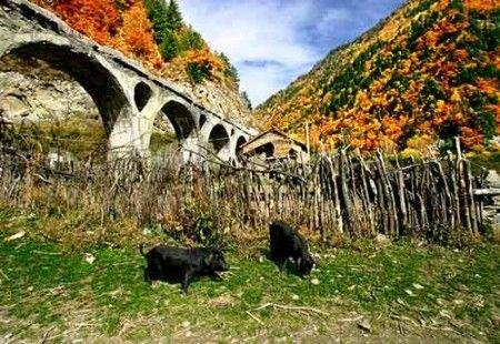 四川秋季完美自驾旅游