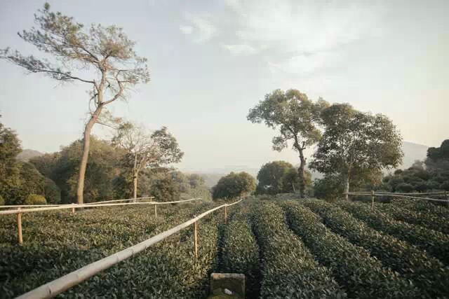 杭州山舍酒店