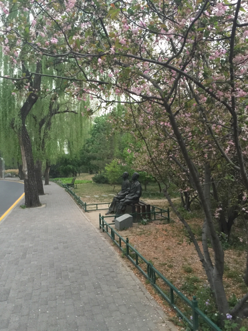清华园近春路水木年华雕像赞